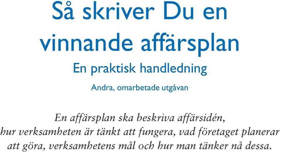 affärsidén, hur verksamheten är tänkt att fungera, vad