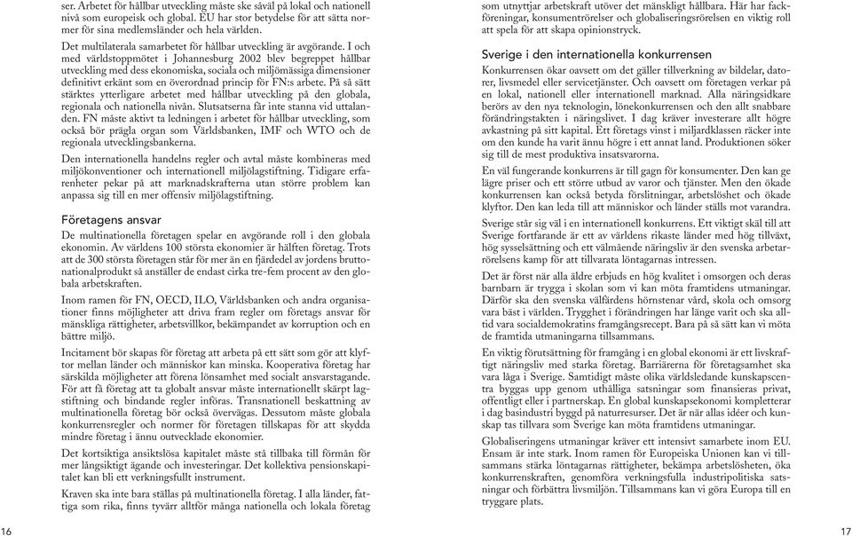 I och med världstoppmötet i Johannesburg 2002 blev begreppet hållbar utveckling med dess ekonomiska, sociala och miljömässiga dimensioner definitivt erkänt som en överordnad princip för FN:s arbete.