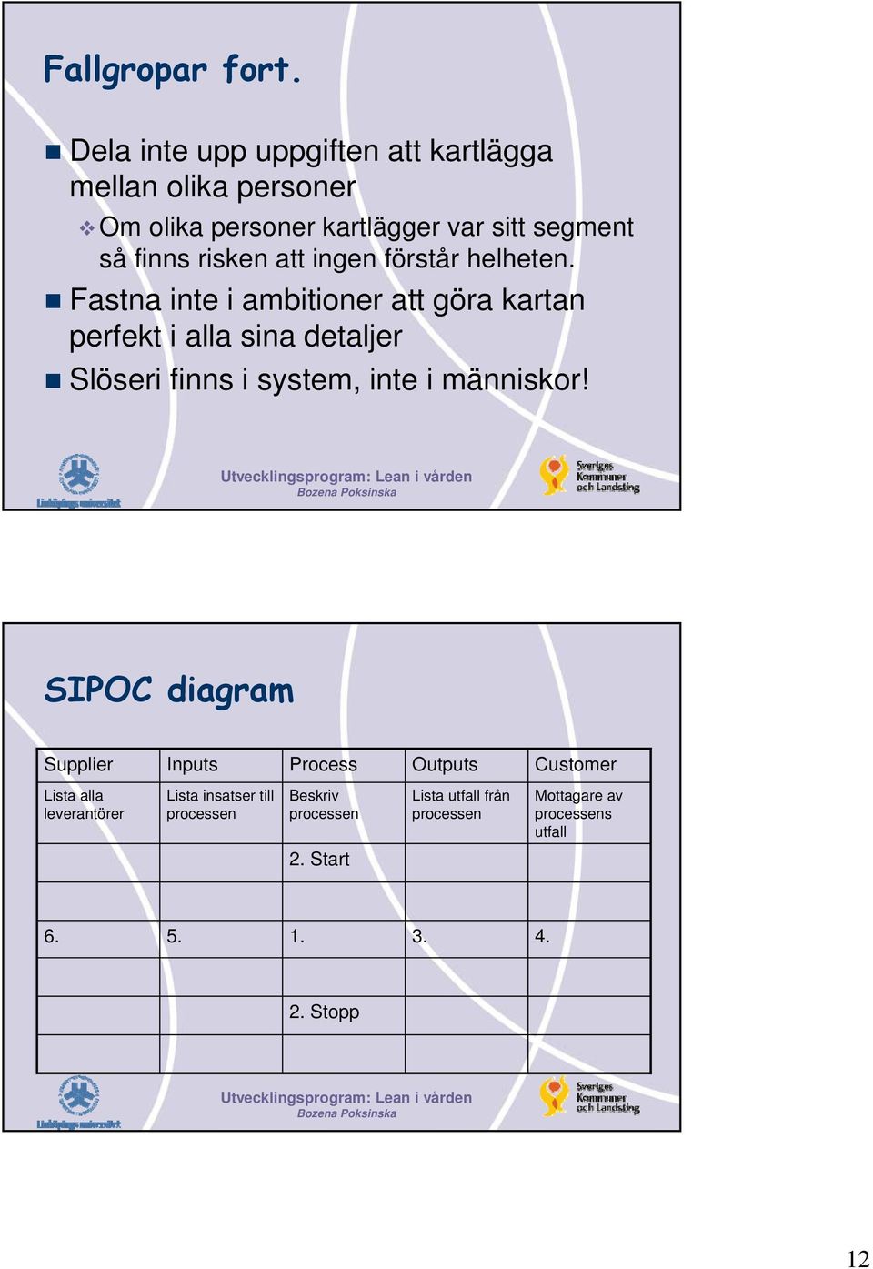 att ingen förstår helheten.