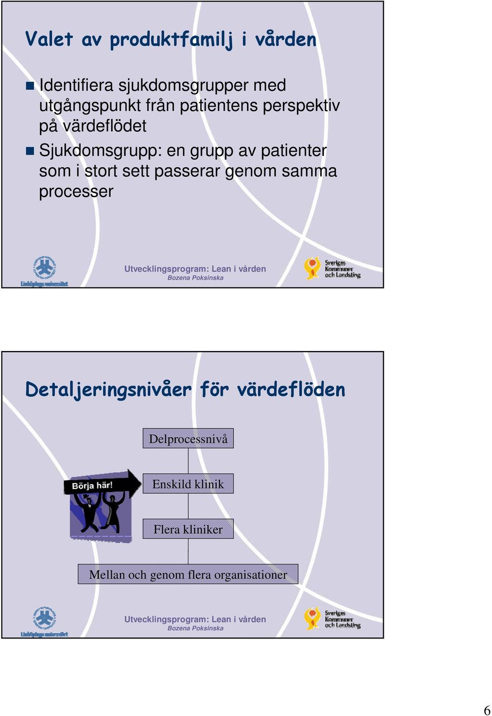 som i stort sett passerar genom samma processer Detaljeringsnivåer för