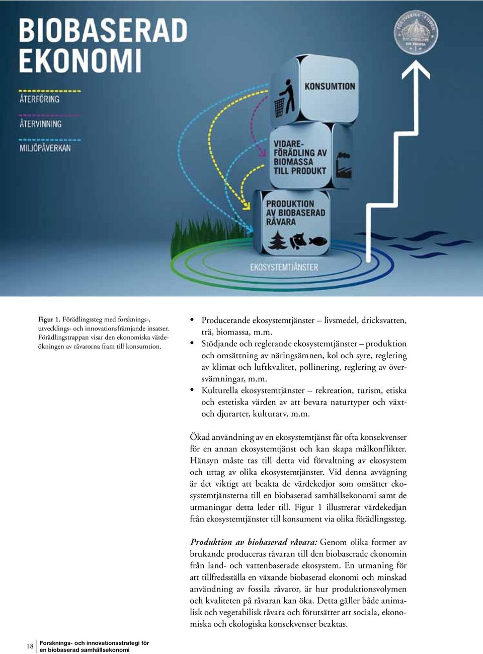 jänster livsmedel, dricksvatten, trä, biomassa, m.m. Stödjande och reglerande ekosystemtjänster produktion och omsättning av näringsämnen, kol och syre, reglering av klimat och luftkvalitet, pollinering, reglering av översvämningar, m.