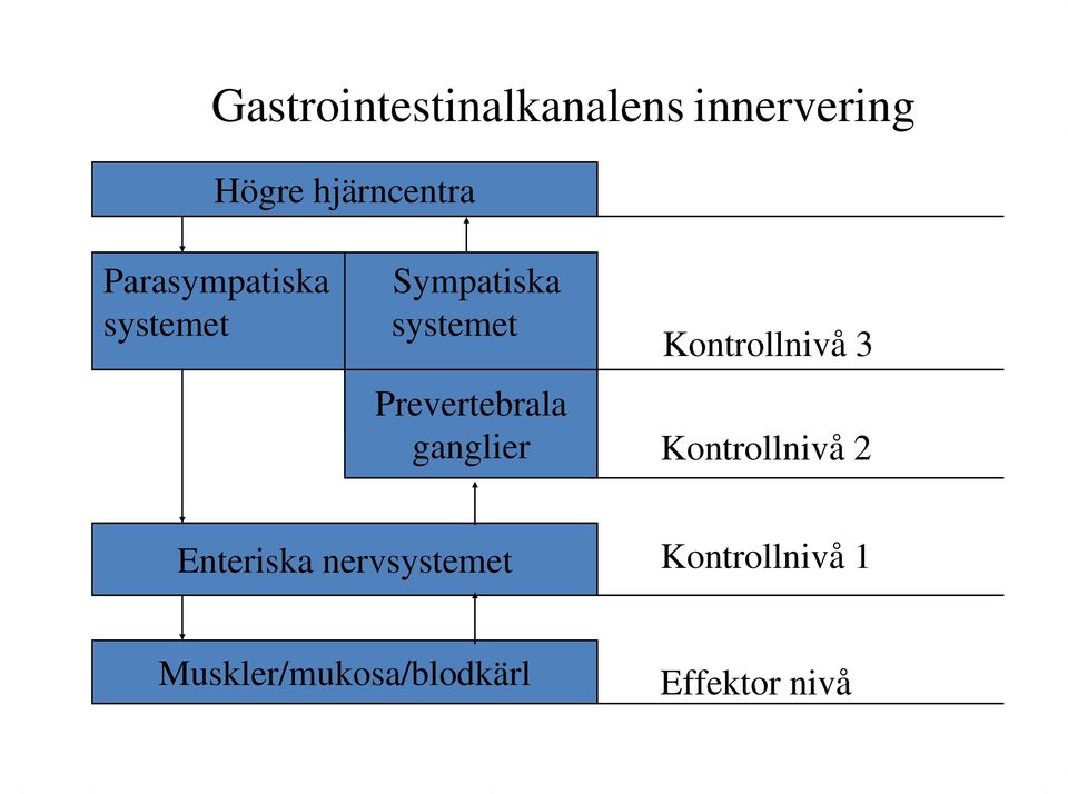 Prevertebrala ganglier Kontrollnivå 3 Kontrollnivå 2