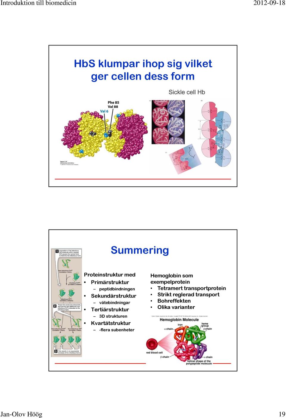 strukturen Kvartätstruktur -flera subenheter Hemoglobin som exempelprotein