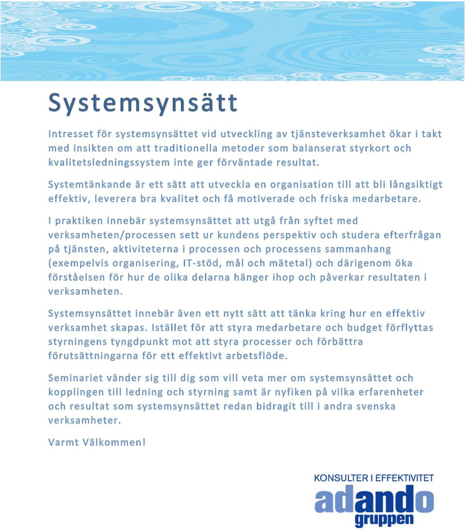 I praktiken innebär systemsynsättet att utgå från syftet med verksamheten/processen sett ur kundens perspektiv och studera efterfrågan på tjänsten, aktiviteterna i processen och processens sammanhang