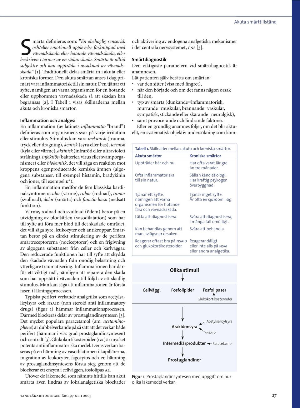 Den akuta smärtan anses i dag primärt vara inflammatorisk till sin natur.