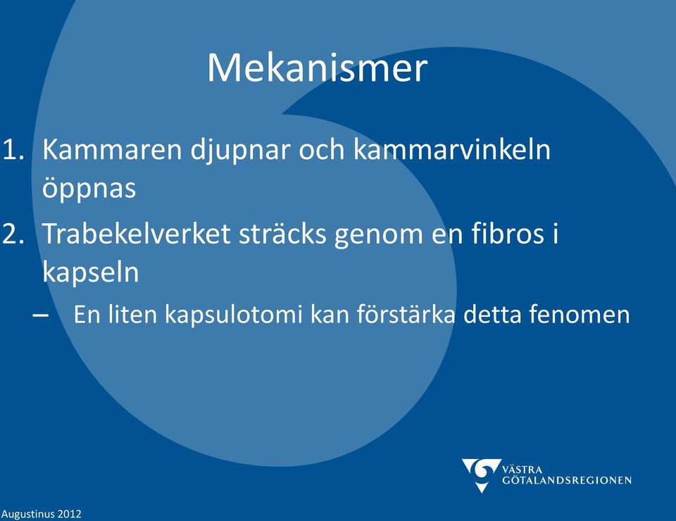 2. Trabekelverket sträcks genom en fibros