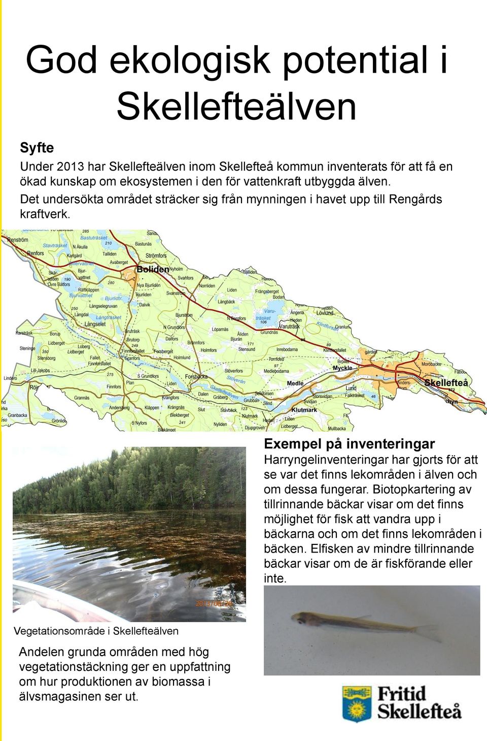 Exempel på inventeringar Harryngelinventeringar har gjorts för att se var det finns lekområden i älven och om dessa fungerar.