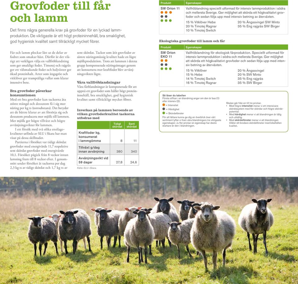 Därför är det viktigt att verkligen välja en vallfröblandning som ger smakligt foder. Timotej och rajgräs ger ett välsmakande foder och baljväxter ger ökad proteinhalt.