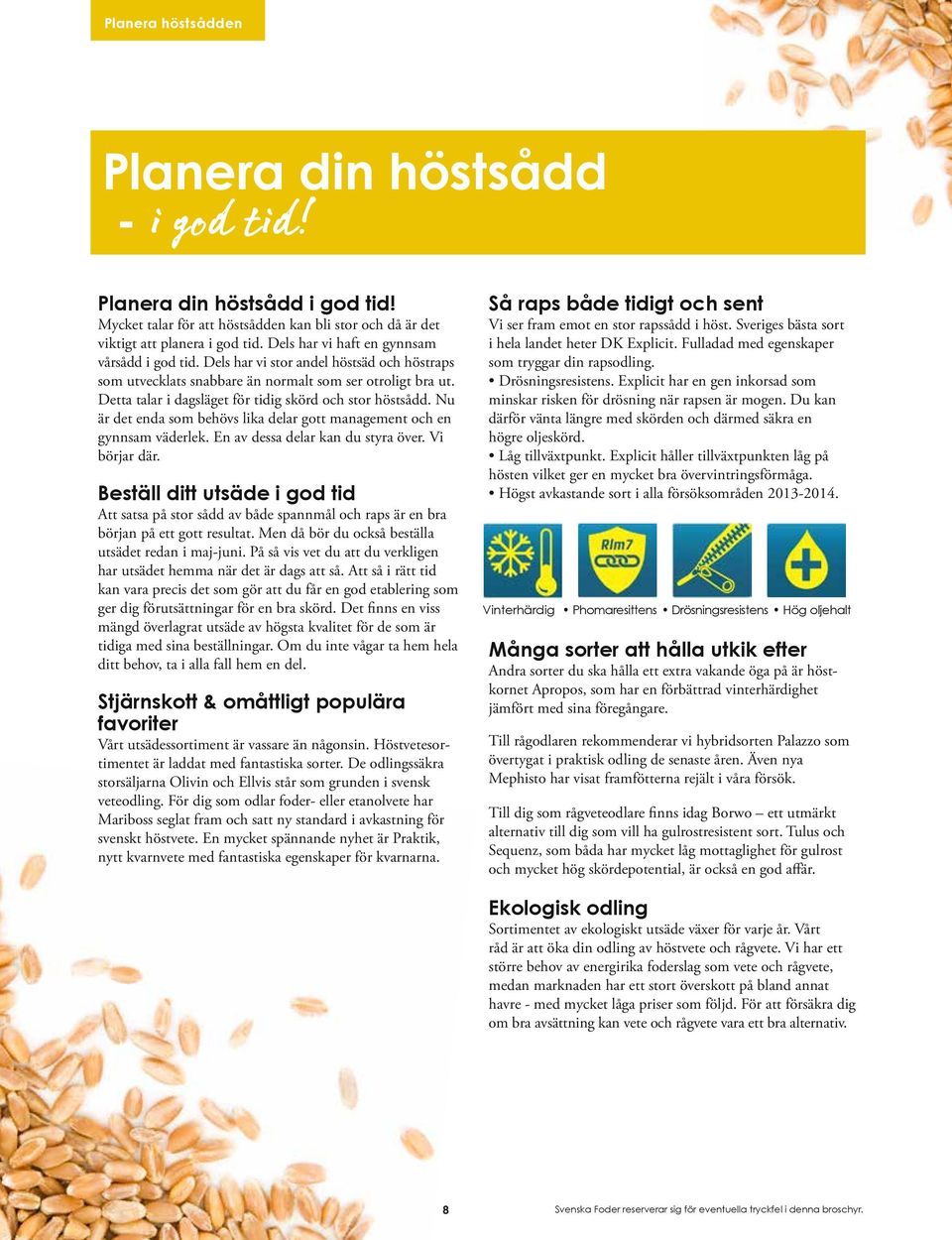 Detta talar i dagsläget för tidig skörd och stor höstsådd. Nu är det enda som behövs lika delar gott management och en gynnsam väderlek. En av dessa delar kan du styra över. Vi börjar där.