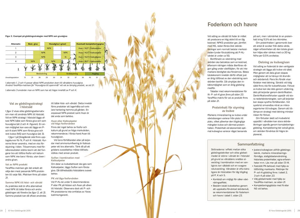 Bestockning Stråskjutning Axgång Utvecklingsstadium 13 21 26 29 3 31 32 37 39 45 51 61 I alternativ 1, 2 och 4 passar oftast NPK-produkten även till vårsädens huvudgiva.