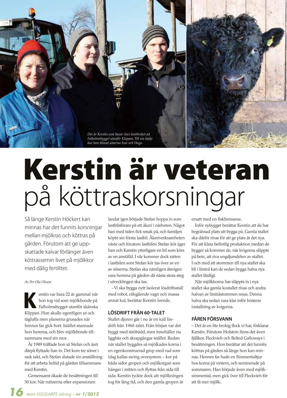 Förutom att ge uppskattade kalvar förlänger även köttrassemin livet på mjölkkor med dålig fertilitet.