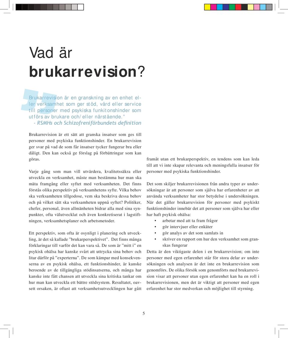 - RSMHs och Schizofreniförbundets definition Brukarrevision är ett sätt att granska insatser som ges till personer med psykiska funktionshinder.