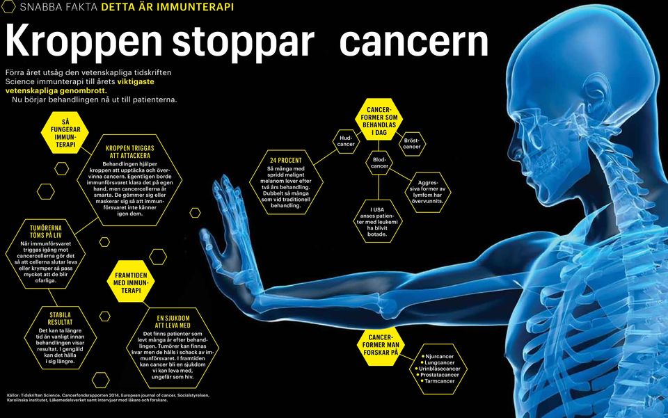 så fungerar immunterapi tumörerna töms på liv När immunförsvaret triggas igång mot cancercellerna gör det så att cellerna slutar leva eller krymper så pass mycket att de blir ofarliga.