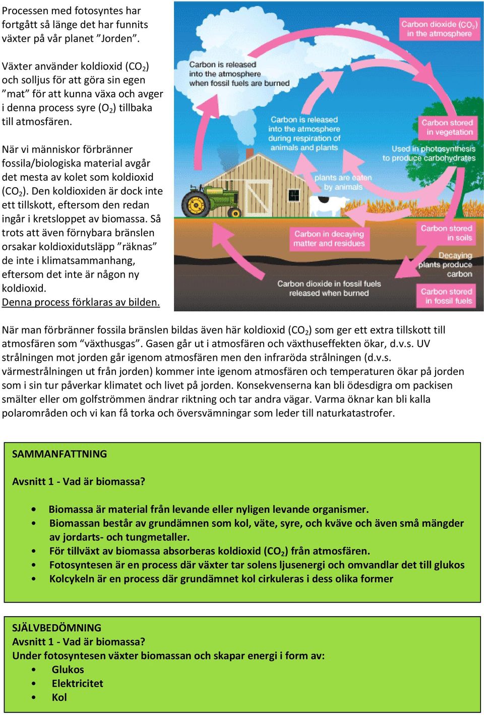 När vi människor förbränner fossila/biologiska material avgår det mesta av kolet som koldioxid (CO 2 ). Den koldioxiden är dock inte ett tillskott, eftersom den redan ingår i kretsloppet av biomassa.