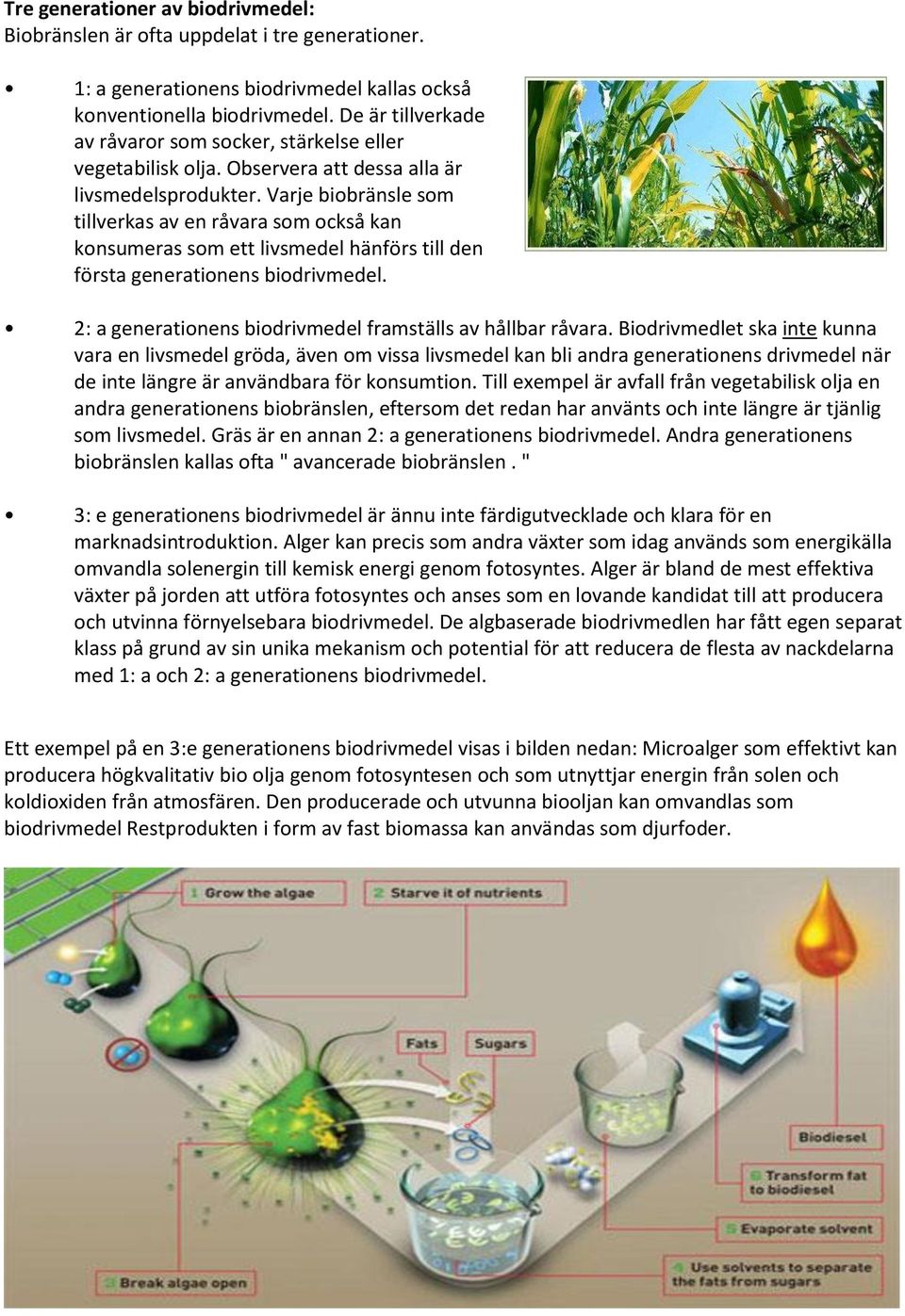 Varje biobränsle som tillverkas av en råvara som också kan konsumeras som ett livsmedel hänförs till den första generationens biodrivmedel.