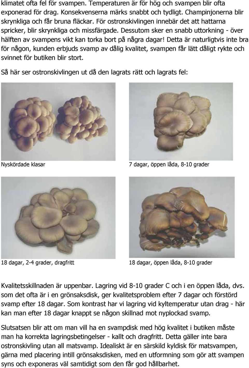 Detta är naturligtvis inte bra för någon, kunden erbjuds svamp av dålig kvalitet, svampen får lätt dåligt rykte och svinnet för butiken blir stort.
