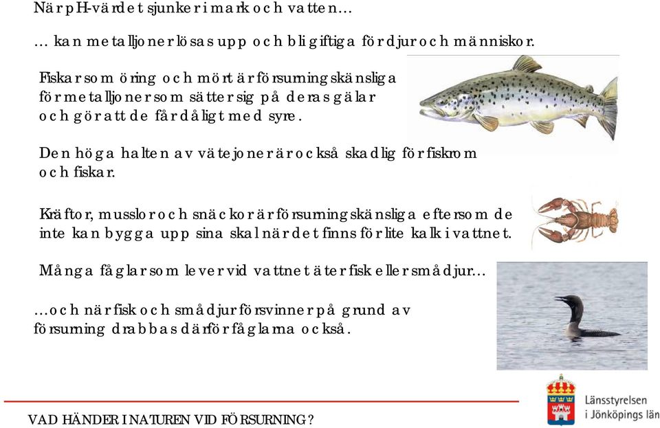 Den höga halten av vätejoner är också skadlig för fiskrom och fiskar.