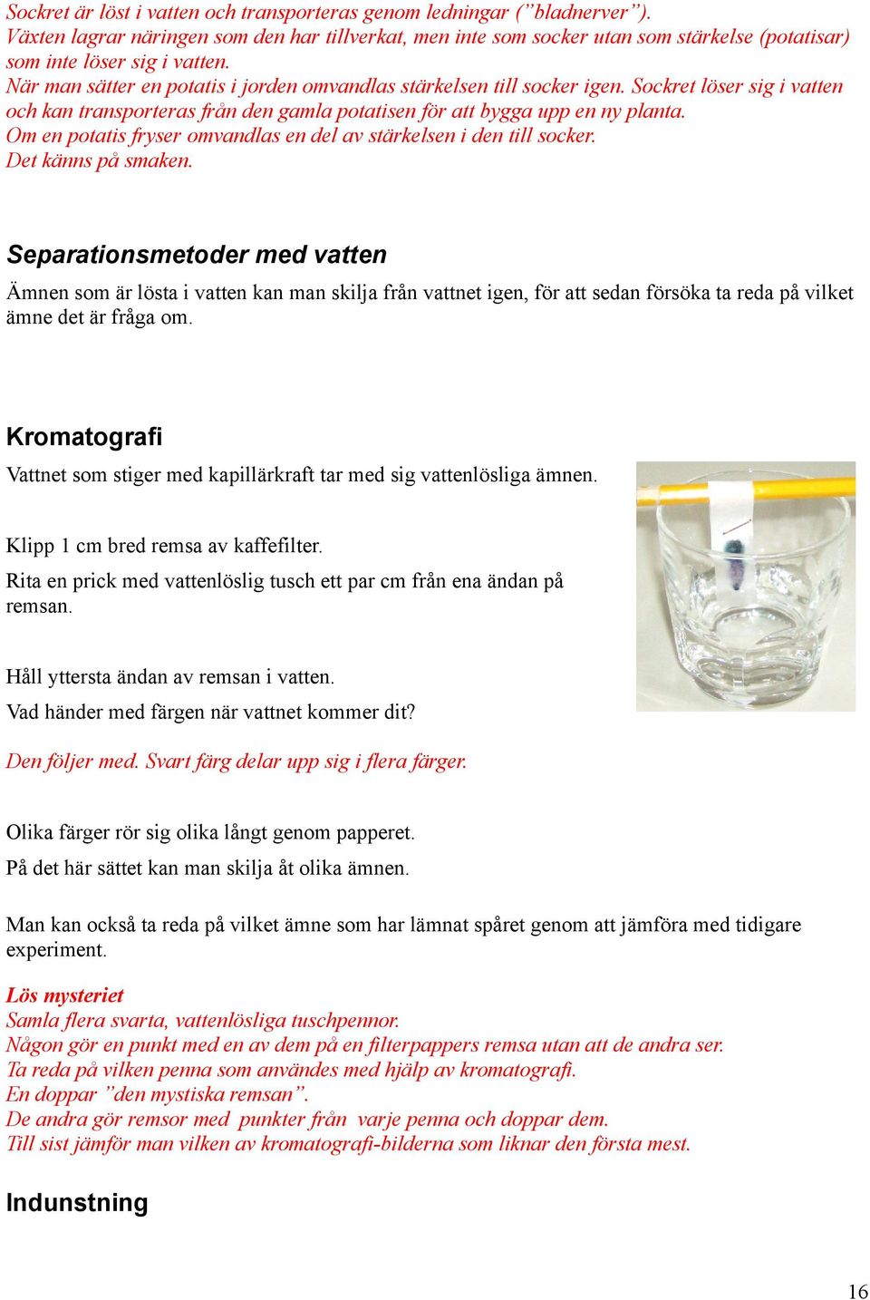 Sockret löser sig i vatten och kan transporteras från den gamla potatisen för att bygga upp en ny planta. Om en potatis fryser omvandlas en del av stärkelsen i den till socker. Det känns på smaken.