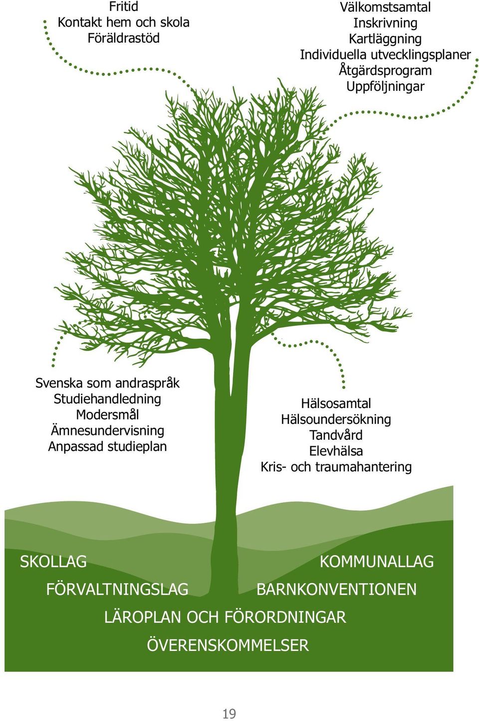 Ämnesundervisning Anpassad studieplan Hälsosamtal Hälsoundersökning Tandvård Elevhälsa Kris- och