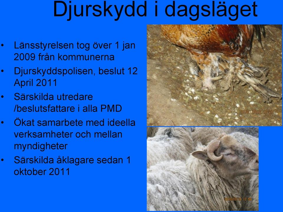 utredare /beslutsfattare i alla PMD Ökat samarbete med ideella