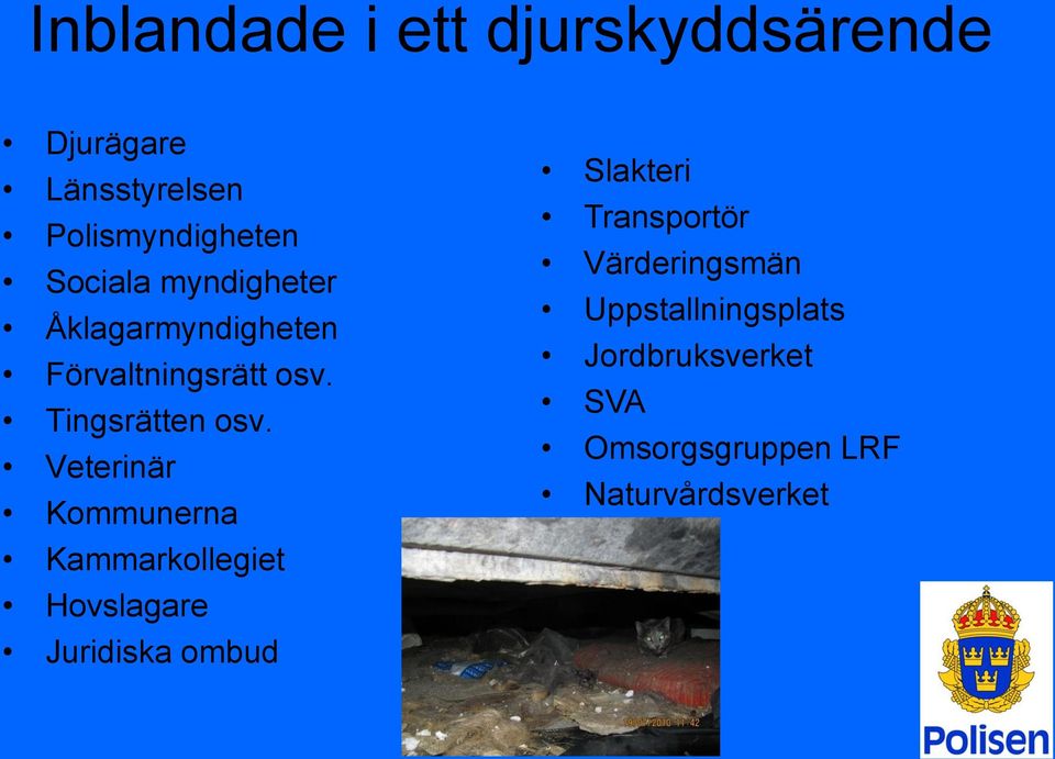 Veterinär Kommunerna Kammarkollegiet Hovslagare Juridiska ombud Slakteri