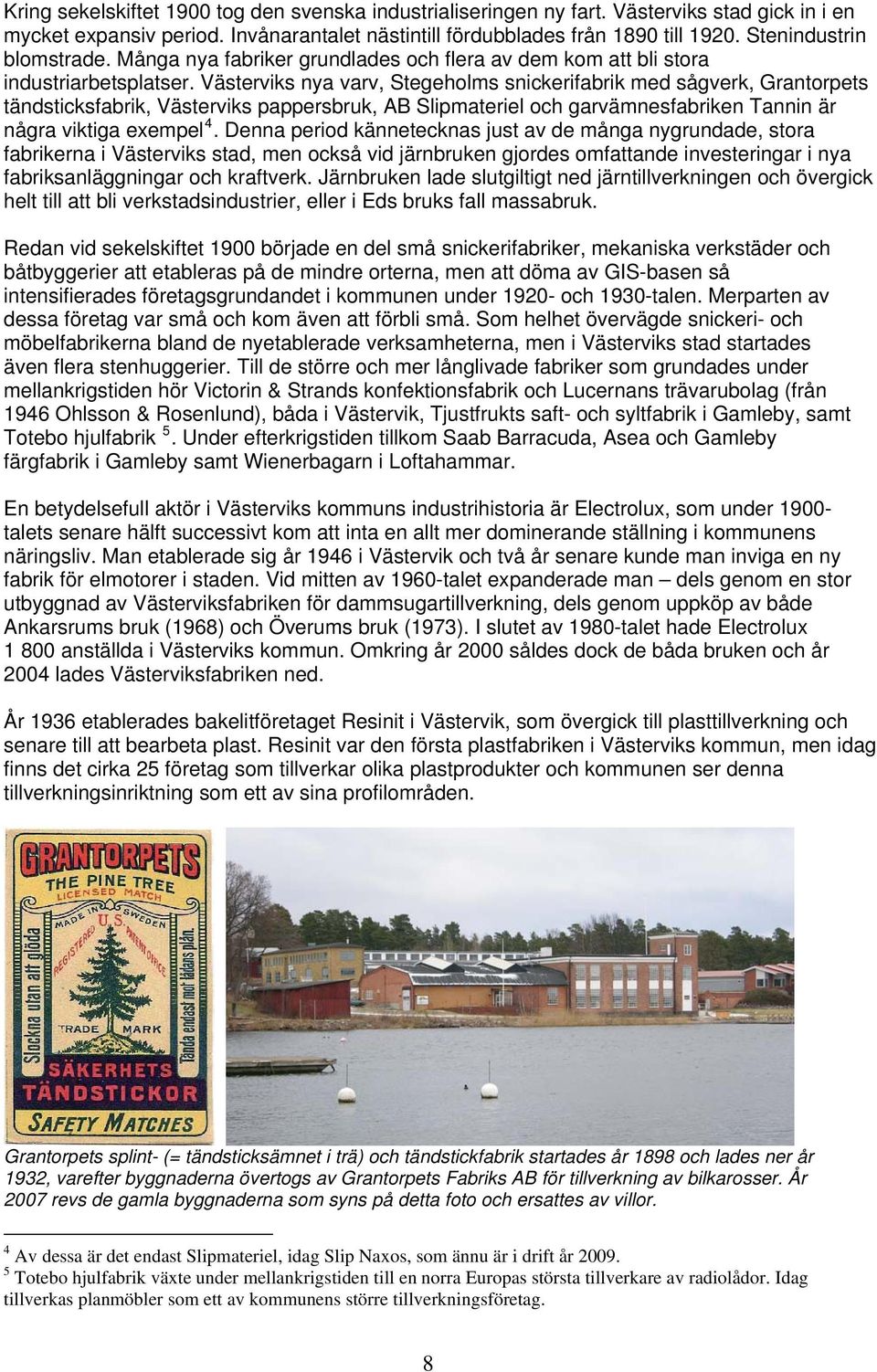 Västerviks nya varv, Stegeholms snickerifabrik med sågverk, Grantorpets tändsticksfabrik, Västerviks pappersbruk, AB Slipmateriel och garvämnesfabriken Tannin är några viktiga exempel 4.