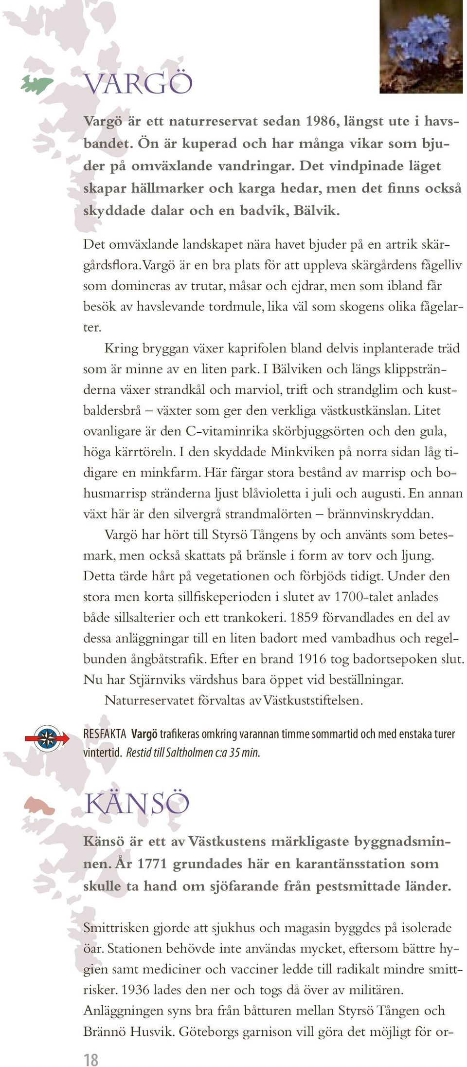 Vargö är en bra plats för att uppleva skärgårdens fågelliv som domineras av trutar, måsar och ejdrar, men som ibland får besök av havslevande tordmule, lika väl som skogens olika fågelarter.