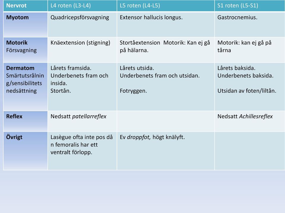 Motorik: kan ej gå på tårna Dermatom Smärtutsrålnin g/sensibilitets nedsättning Lårets framsida. Underbenets fram och insida. Stortån. Lårets utsida.