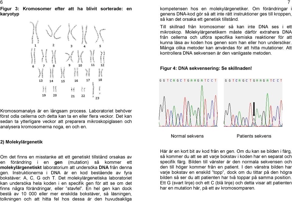 Molekylärgenetikern måste därför extrahera DNA från cellerna och utföra specifika kemiska reaktioner för att kunna läsa av koden hos genen som han eller hon undersöker.