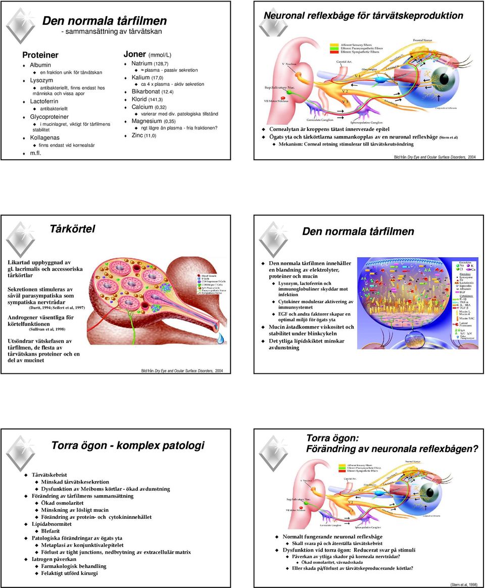 Joner (mmol/l) Natrium (128,7) plasma - passiv sekretion Kalium (17,0) ca 4 x plasma - aktiv sekretion Bikarbonat (12.4) Klorid (141,3) Calcium (0,32) varierar med div.