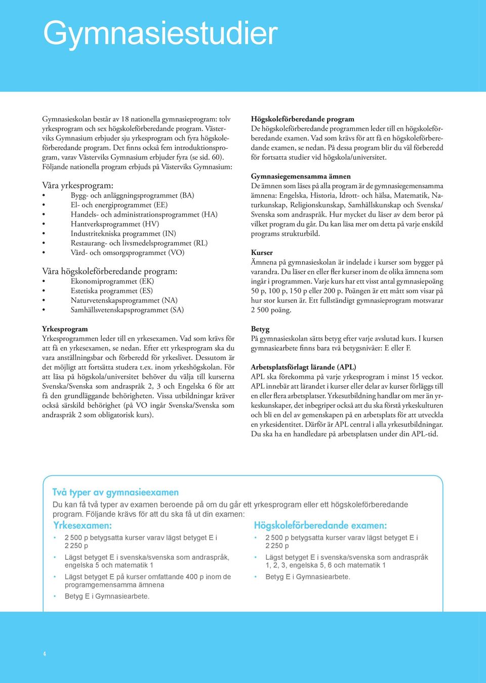 Följande nationella program erbjuds på Västerviks Gymnasium: Våra yrkesprogram: Bygg- och anläggningsprogrammet (BA) El- och energiprogrammet (EE) Handels- och administrationsprogrammet (HA)