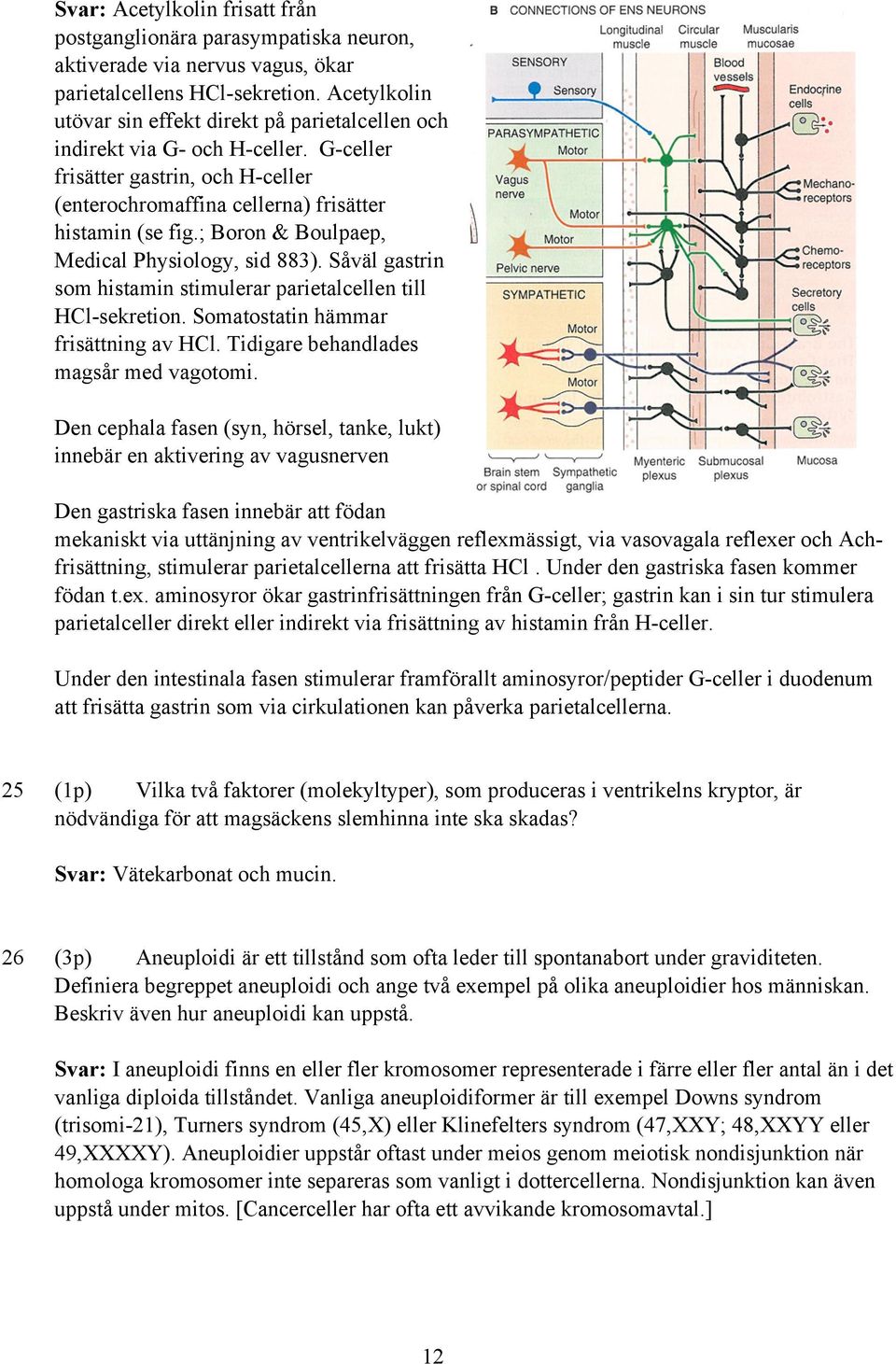 ; Boron & Boulpaep, Medical Physiology, sid 883). Såväl gastrin som histamin stimulerar parietalcellen till HCl-sekretion. Somatostatin hämmar frisättning av HCl.