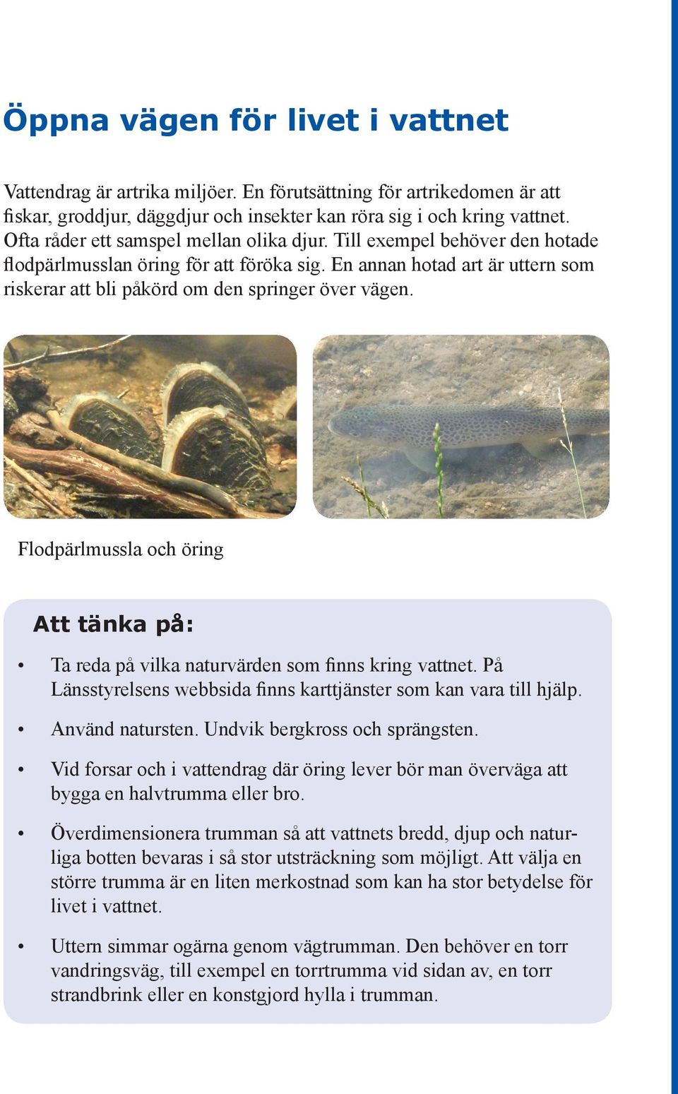 Flodpärlmussla och öring Att tänka på: Ta reda på vilka naturvärden som finns kring vattnet. På Länsstyrelsens webbsida finns karttjänster som kan vara till hjälp. Använd natursten.