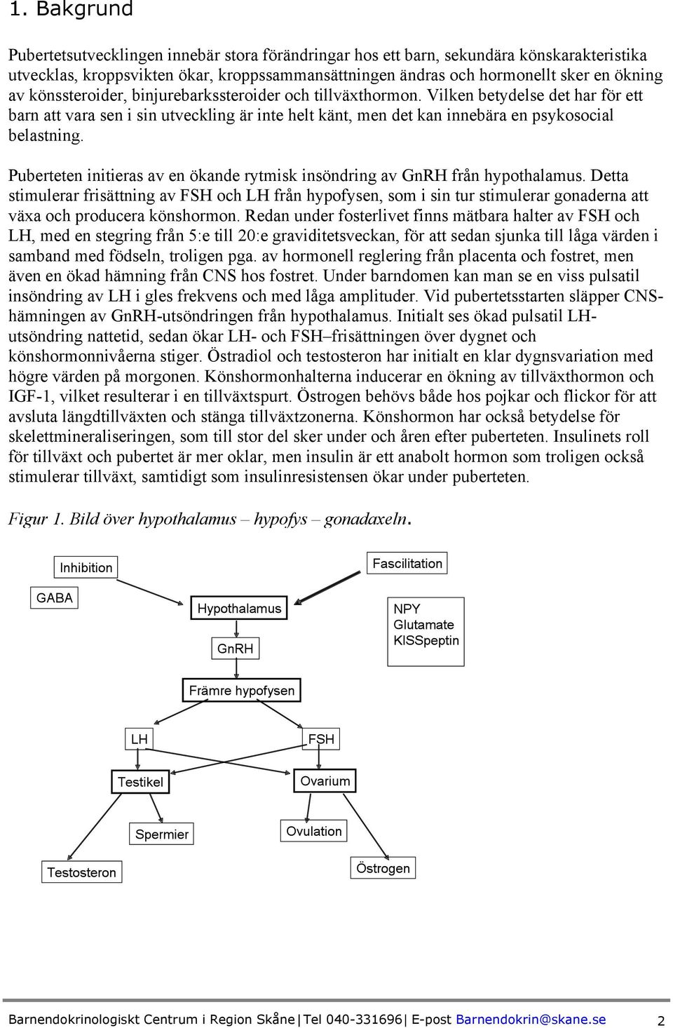 Puberteten initieras av en ökande rytmisk insöndring av GnRH från hypothalamus.