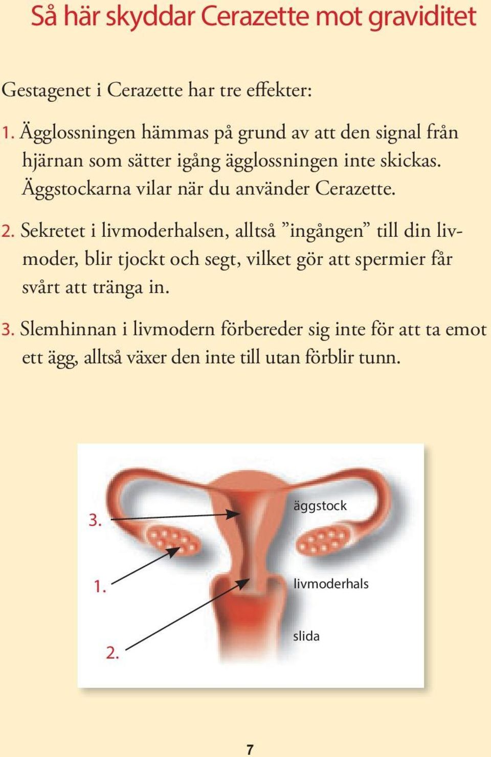 Äggstockarna vilar när du använder Cerazette. 2.