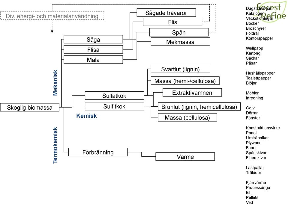 Toalettpapper Blöjor Möbler Inredning Skoglig biomassa Kemisk Sulfitkok Brunlut (lignin, hemicellulosa) Massa (cellulosa) Golv Dörrar Fönster