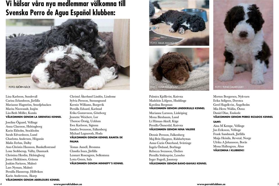 Svenska Perro de Agua Español klubben - PDF Free Download