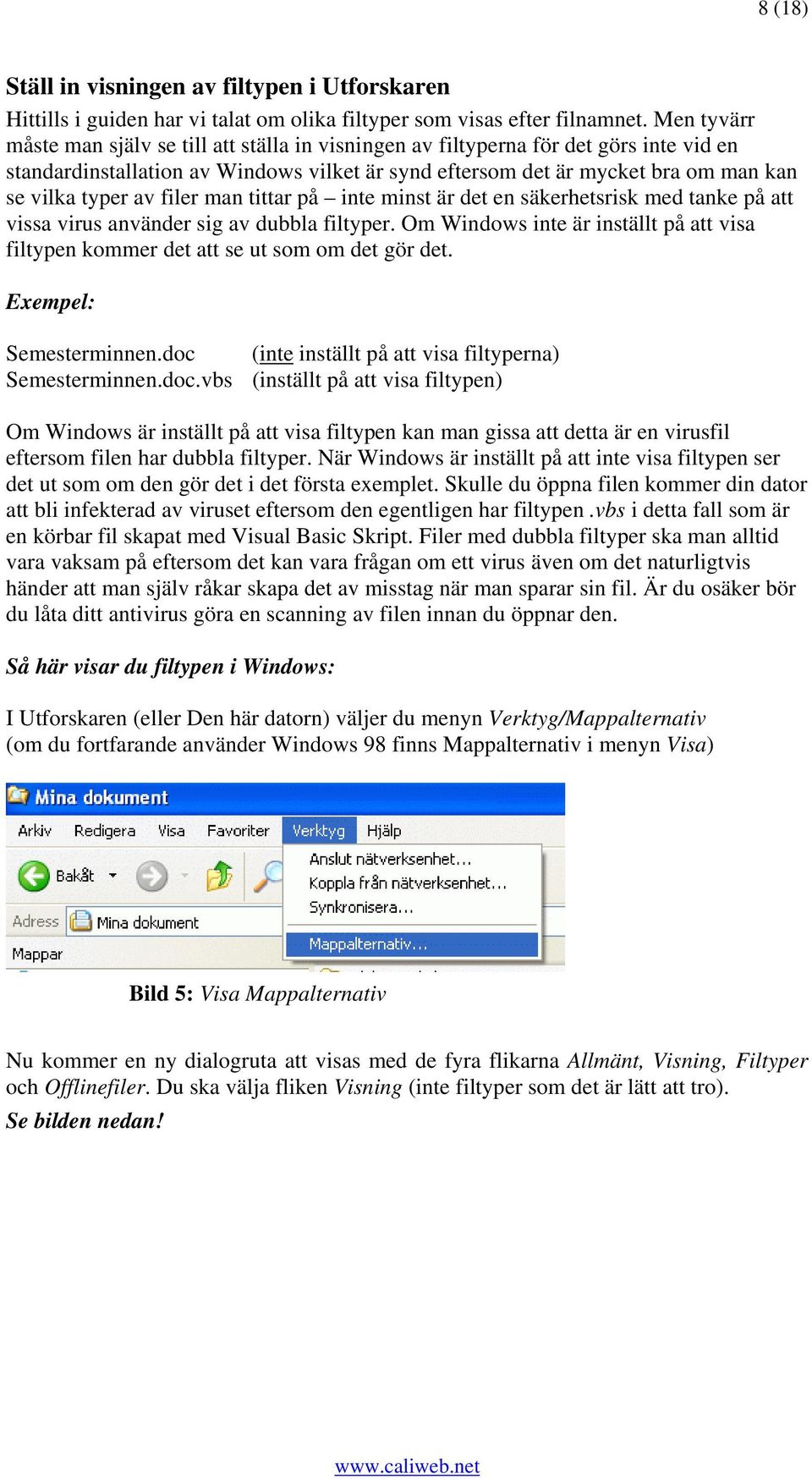 av filer man tittar på inte minst är det en säkerhetsrisk med tanke på att vissa virus använder sig av dubbla filtyper.