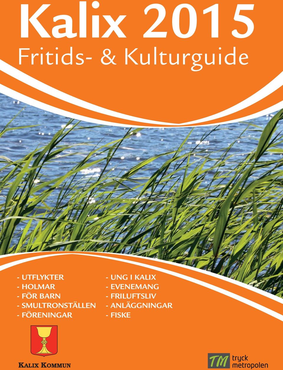 FÖRENINGAR - UNG I KALIX -
