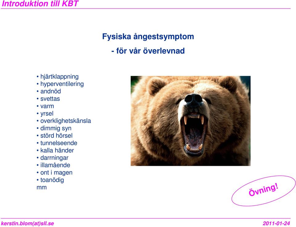yrsel overklighetskänsla dimmig syn störd hörsel
