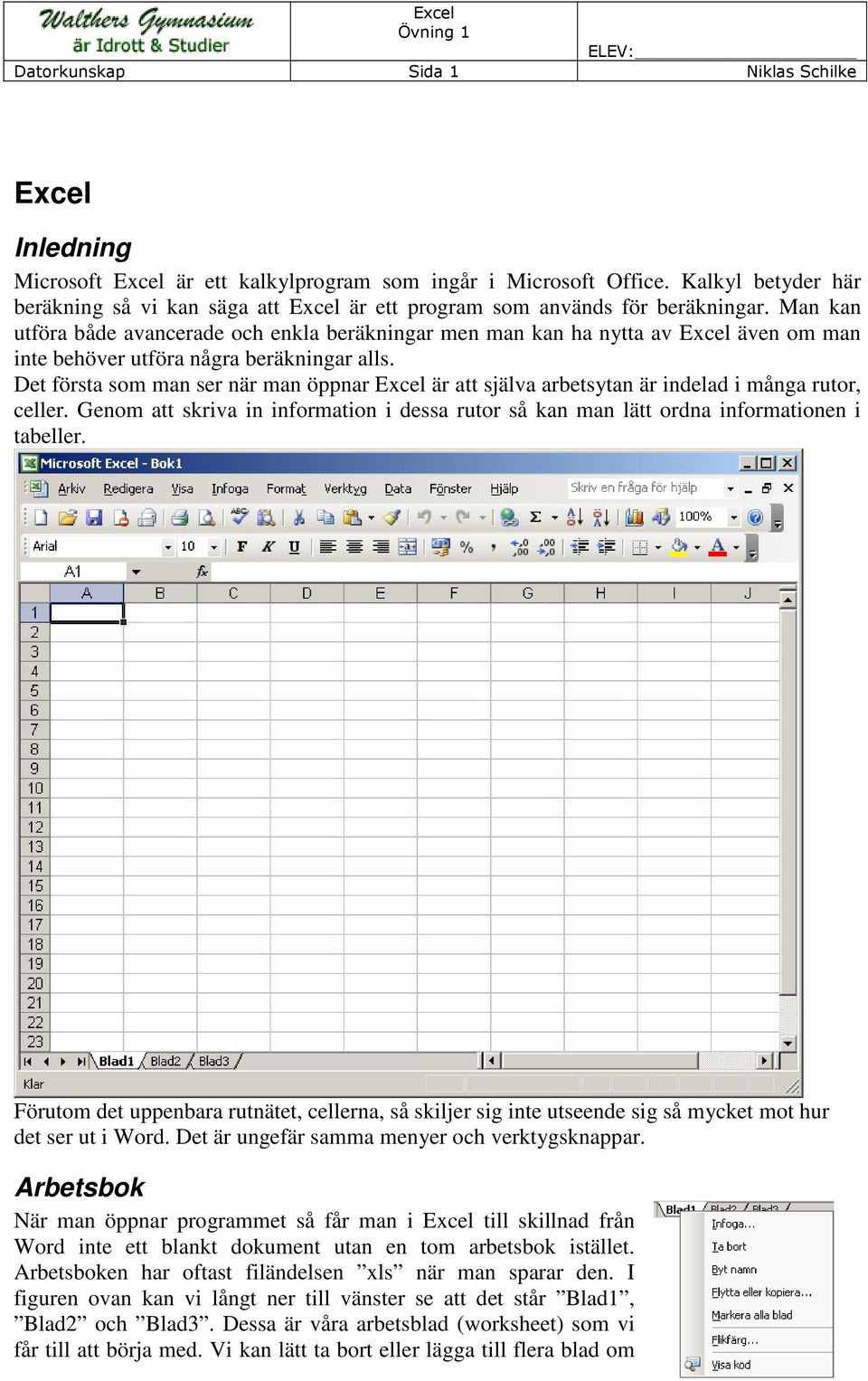 Excel Övning 1 ELEV: Datorkunskap Sida 1 Niklas Schilke - PDF ...