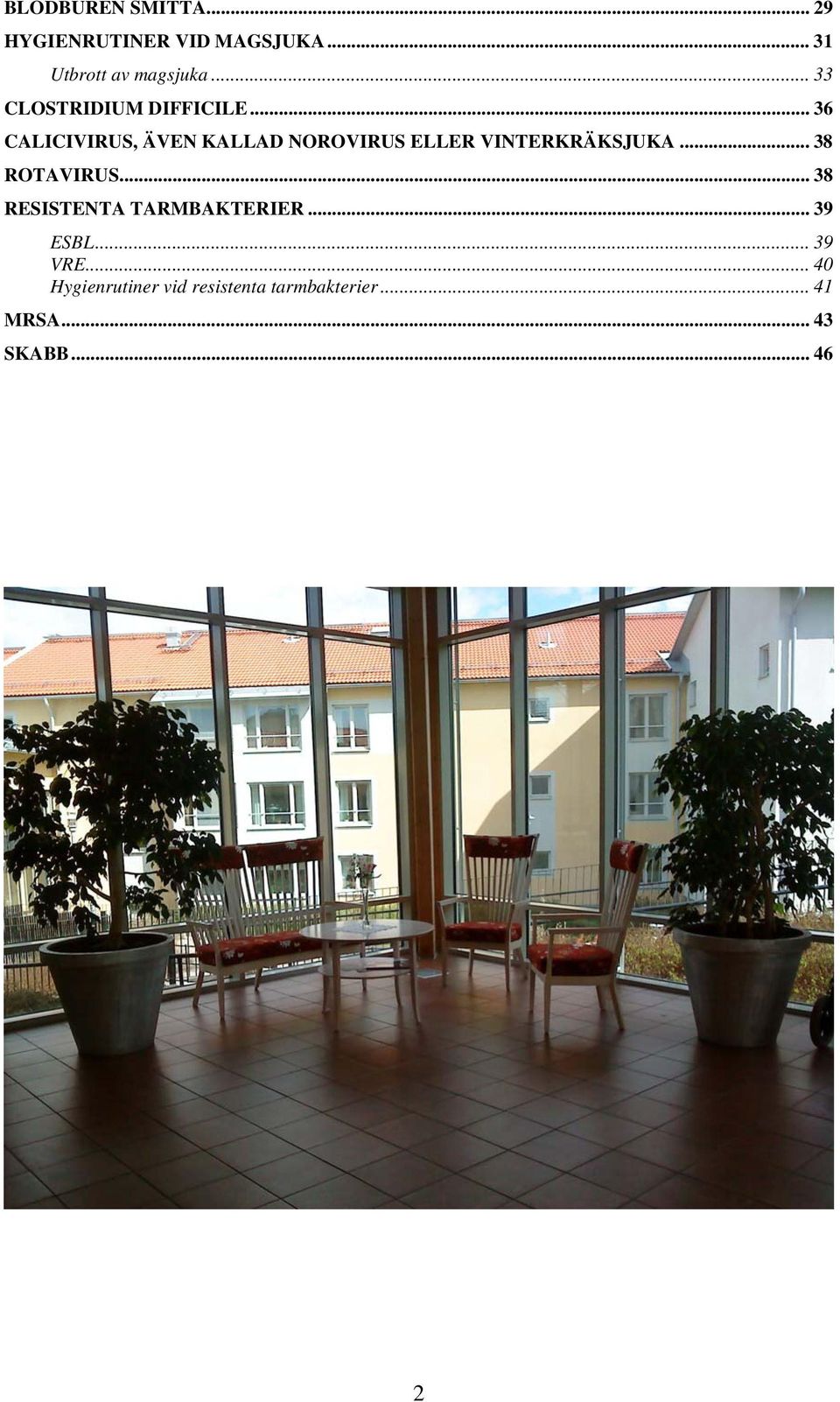 .. 36 CALICIVIRUS, ÄVEN KALLAD NOROVIRUS ELLER VINTERKRÄKSJUKA... 38 ROTAVIRUS.