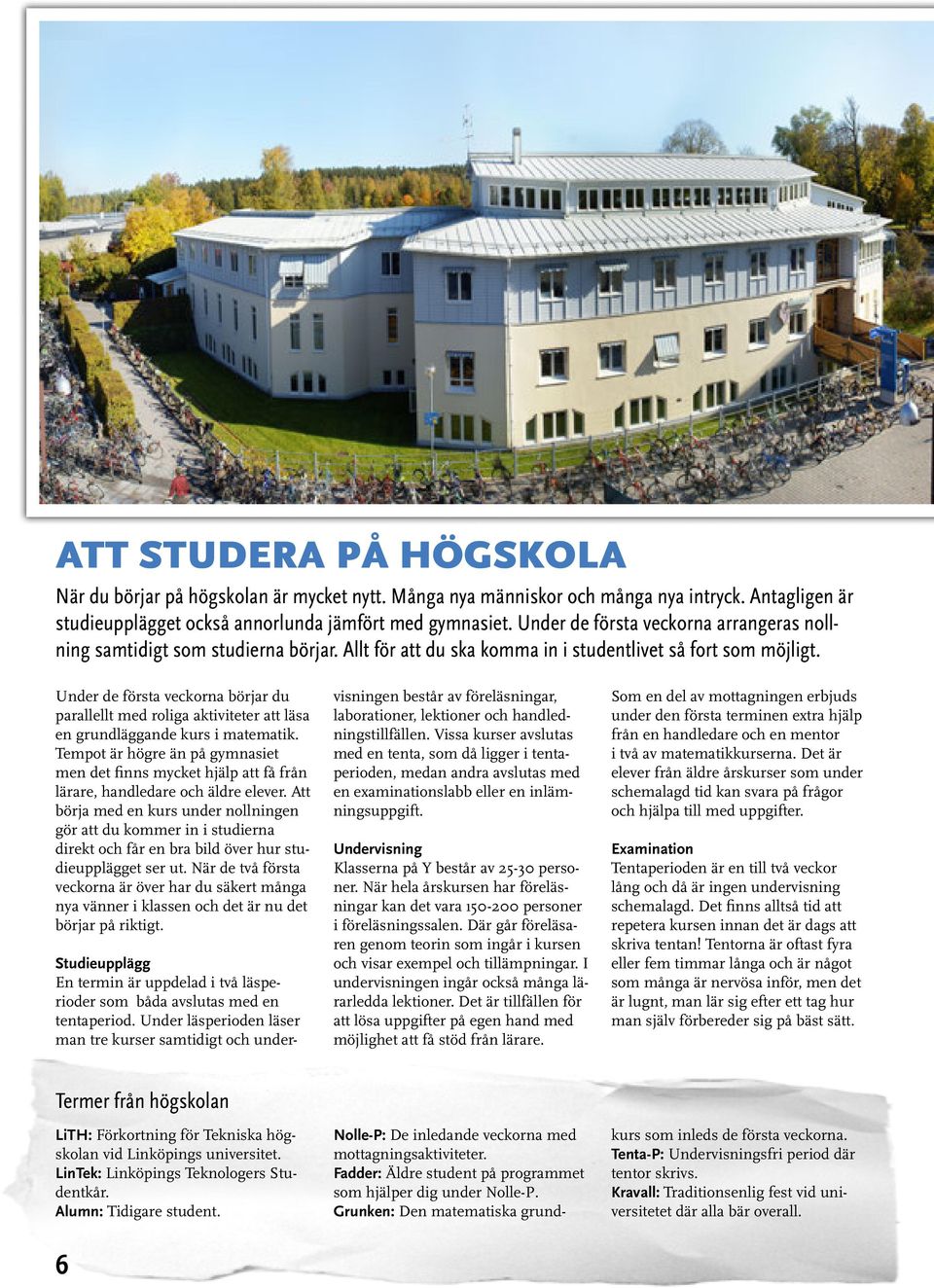 Under de första veckorna börjar du parallellt med roliga aktiviteter att läsa en grundläggande kurs i matematik.