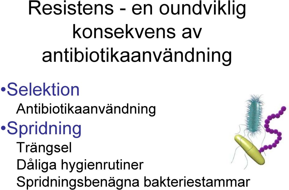 Antibiotikaanvändning Spridning Trängsel