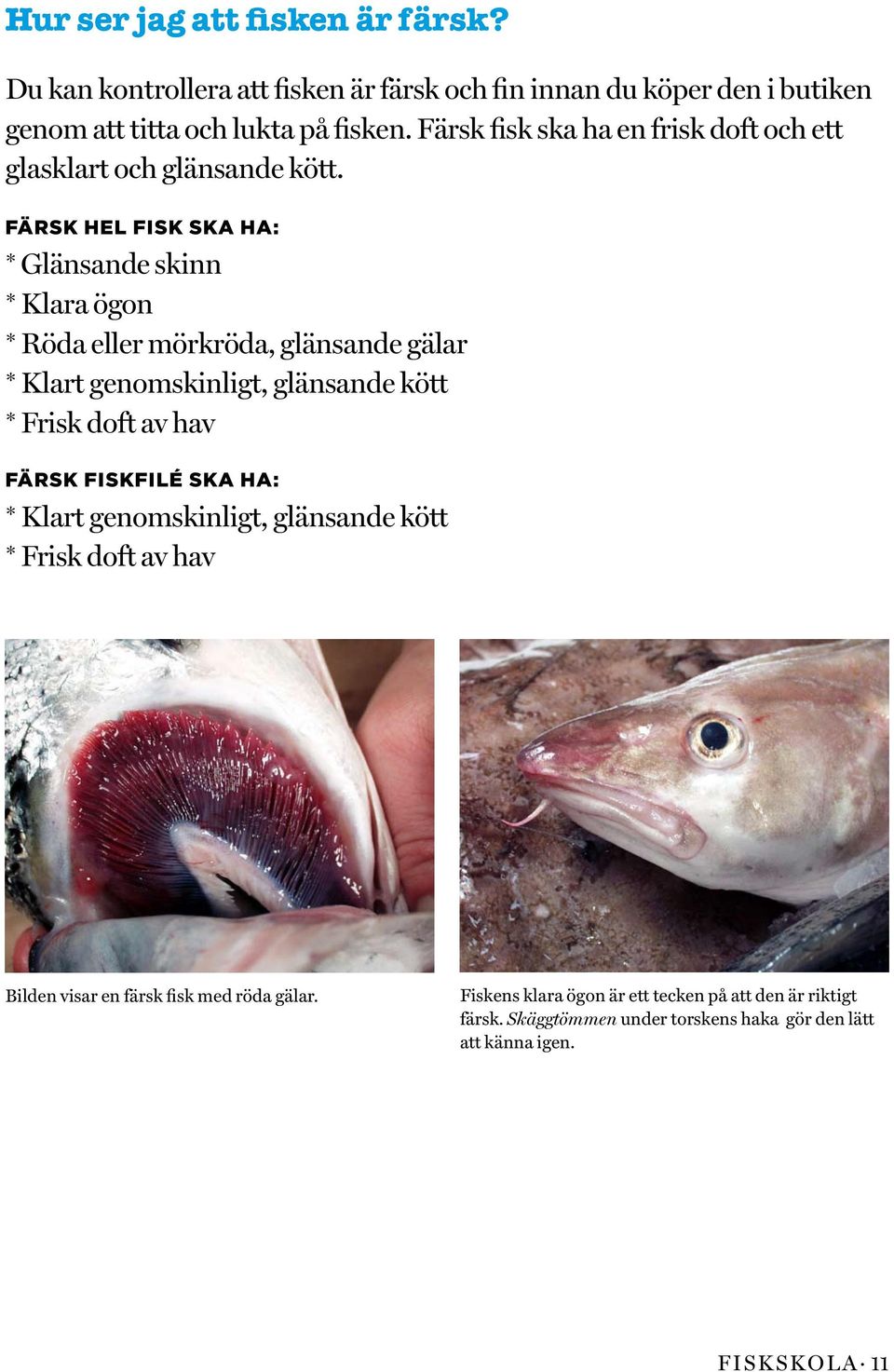 Färsk hel fisk ska ha: * Glänsande skinn * Klara ögon * Röda eller mörkröda, glänsande gälar * Klart genomskinligt, glänsande kött * Frisk doft av hav Färsk