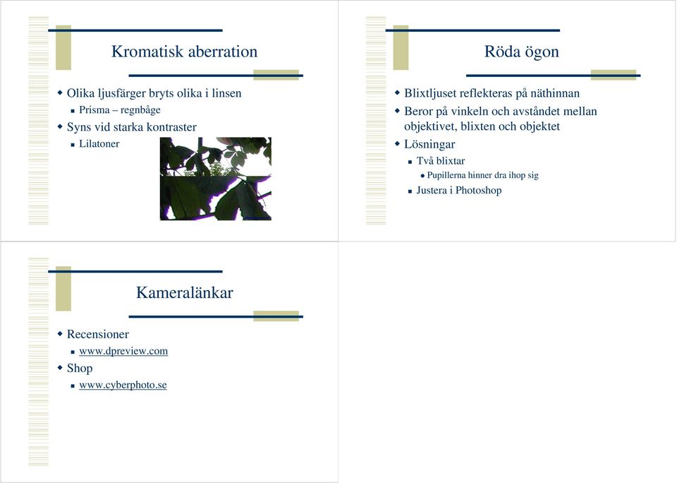 avståndet mellan objektivet, blixten och objektet Lösningar Två blixtar Pupillerna hinner