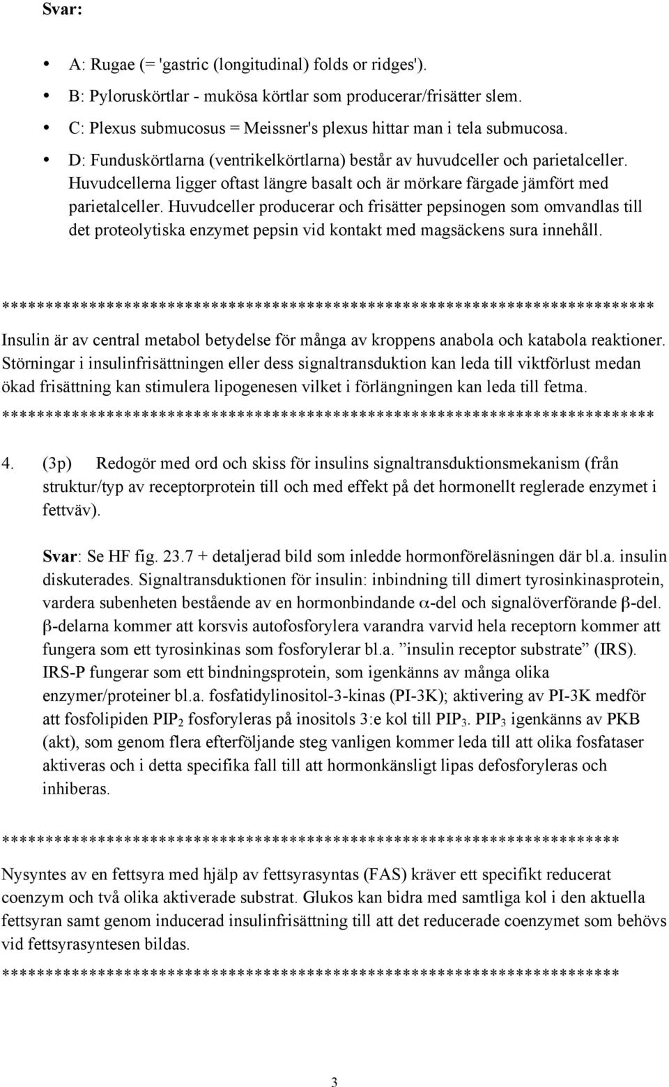 Huvudceller producerar och frisätter pepsinogen som omvandlas till det proteolytiska enzymet pepsin vid kontakt med magsäckens sura innehåll.