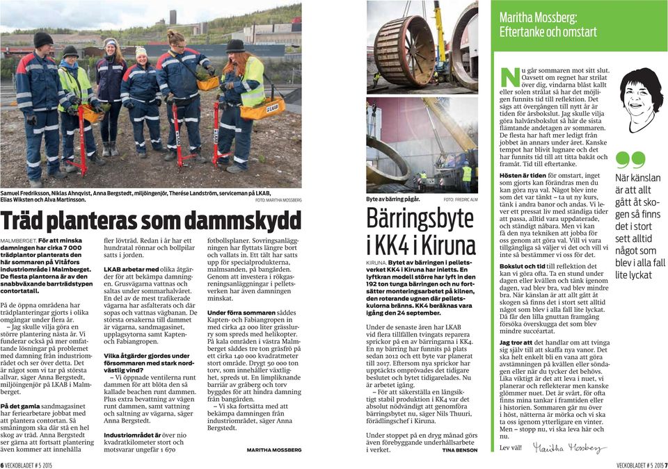 De flesta plantorna är av den snabbväxande barrträdstypen contortatall. På de öppna områdena har trädplanteringar gjorts i olika omgångar under flera år.