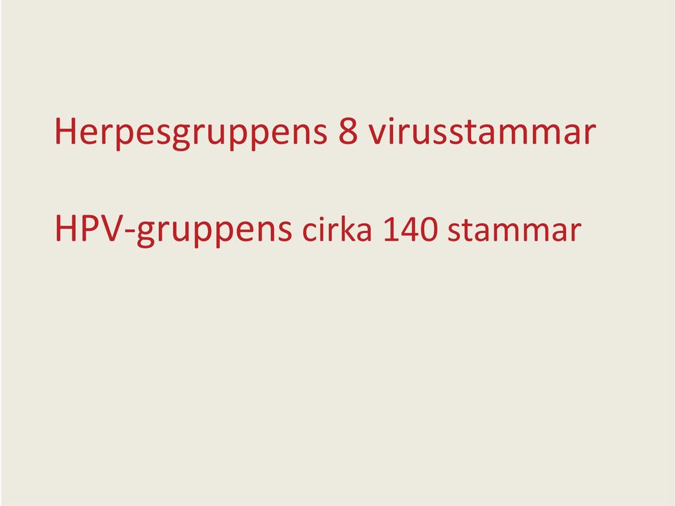 HPV-gruppens