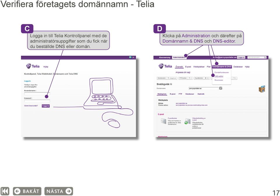 fick när du beställde DNS eller domän.